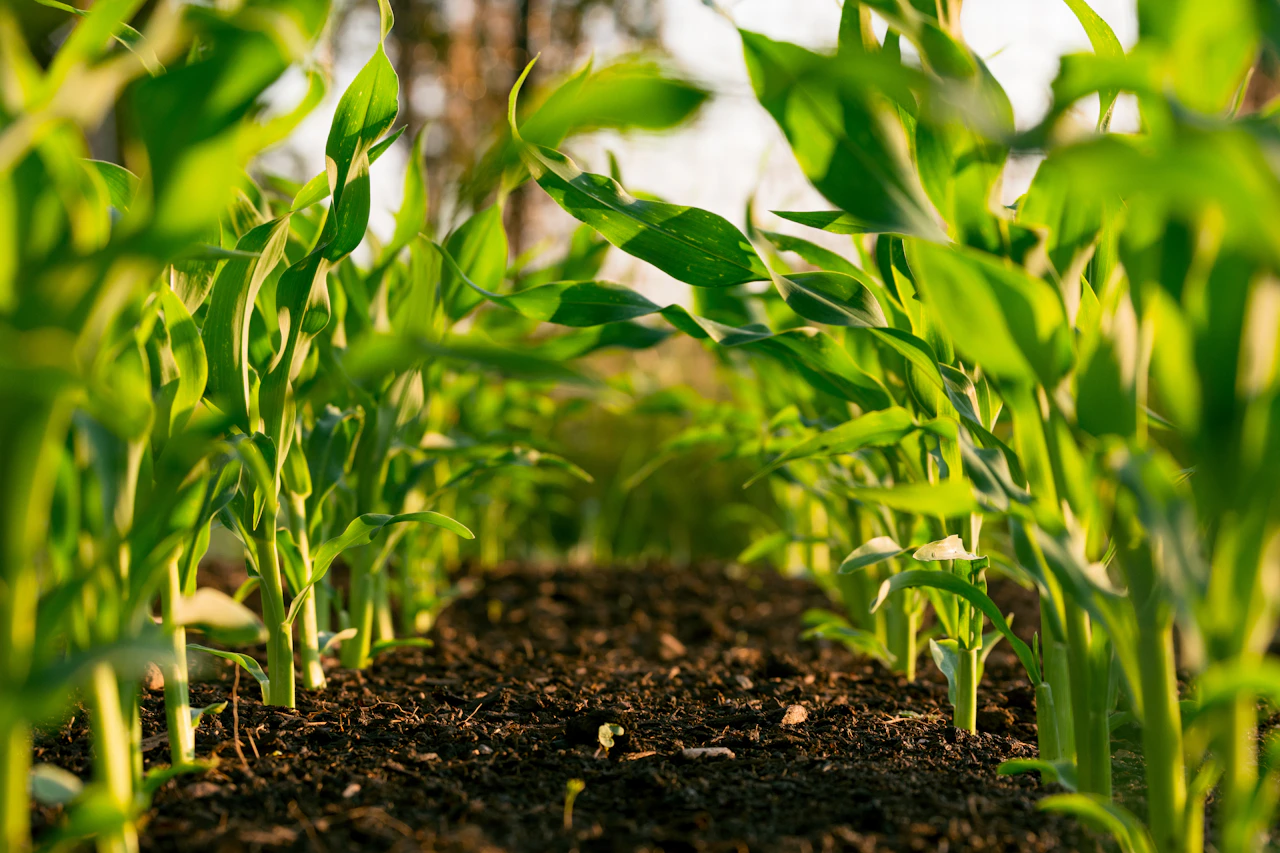 Agriculture Equipment Financing in Atlanta, GA