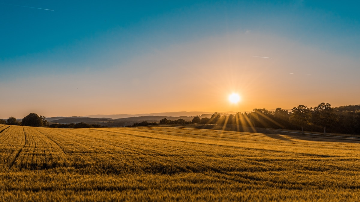Lending advisor and farm finance