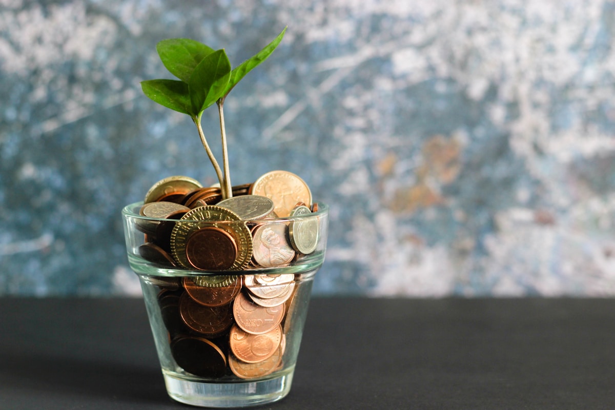 Business financial planning